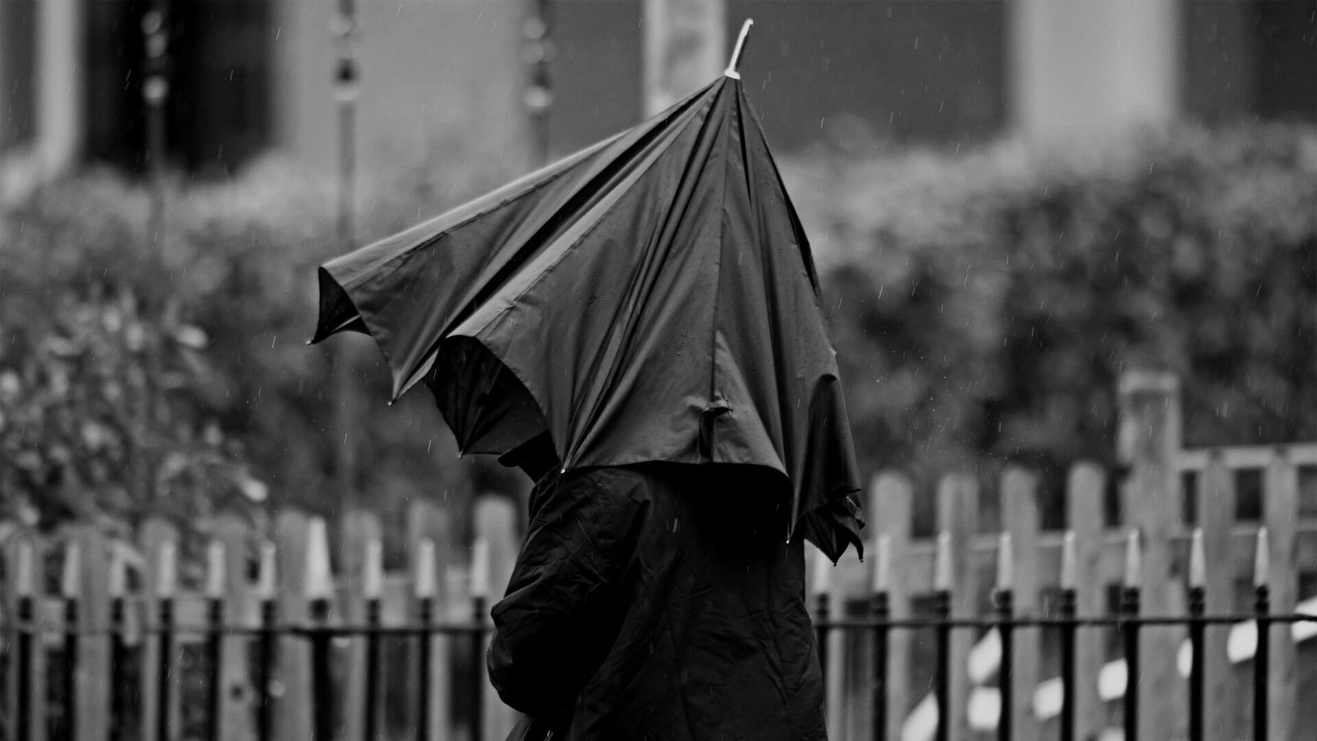 Umbrella Companies Header